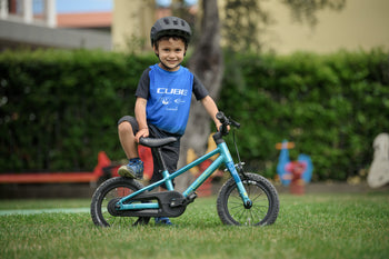 CUBE Numove 120
