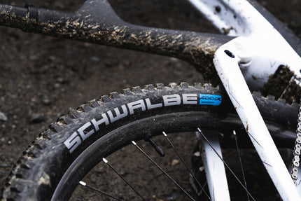 Schwalbe Wicked Will Evo Super Ground 29X2.40