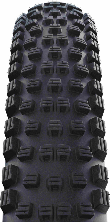Schwalbe Wicked Will Performance Tlr 29X2.25
