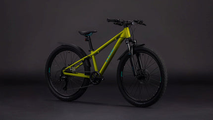 CUBE ACID 240 DISC FE LIZARD/BLUE