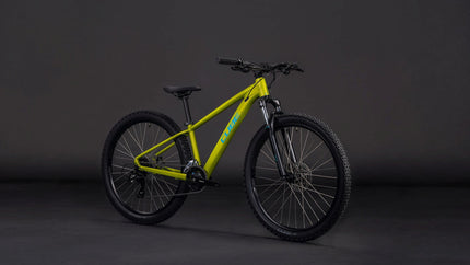 CUBE ACID 260 DISC LIZARD/BLUE