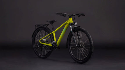 CUBE ACID 260 DISC FE LIZARD/BLUE