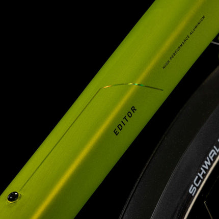 CUBE EDITOR RACE FE LIZARD/BLACK
