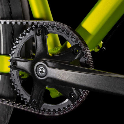 CUBE EDITOR RACE FE LIZARD/BLACK