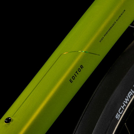 CUBE EDITOR RACE FE LIZARD/BLACK