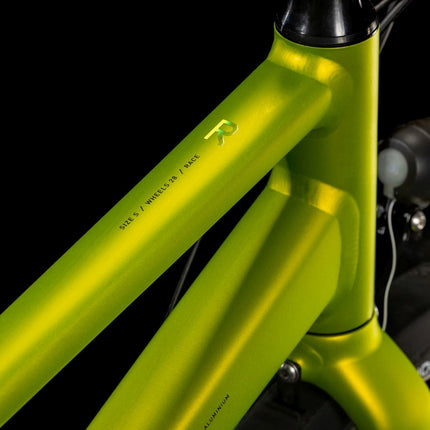 CUBE EDITOR RACE FE LIZARD/BLACK