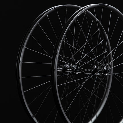 NEWMEN WHEEL EVOLUTION SL X.R.25 29" 28H FADE CL 12X100